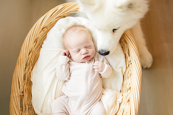 newborn baby Anna photo session