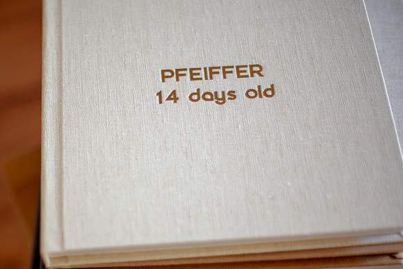TUSK linen Book with DESSAU font in COOPER color