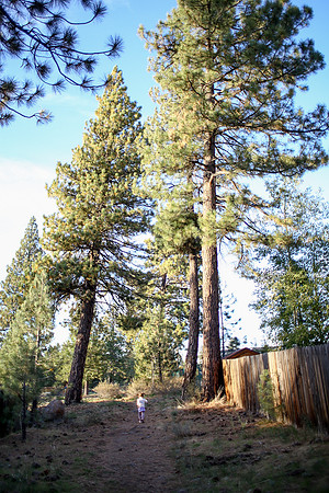 014_Tahoe_first days_October 02, 2012