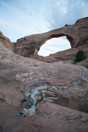 67_Denver-SF_July 10, 2015