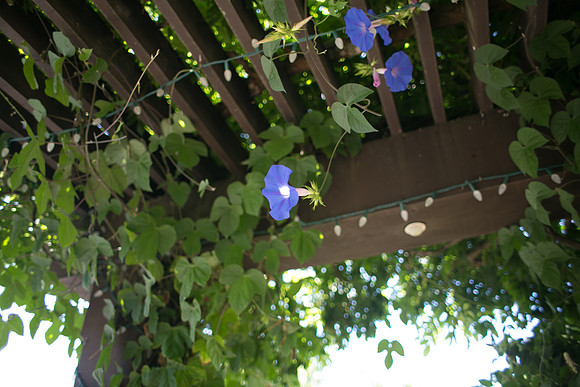 164_Denver-SF_July 14, 2015