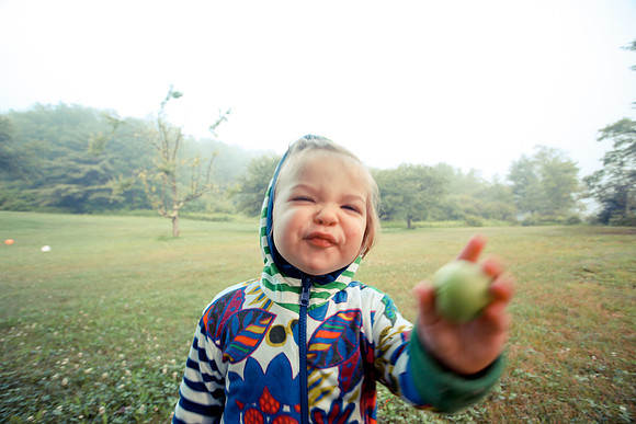 1935_DACHA-3_June 29, 2011