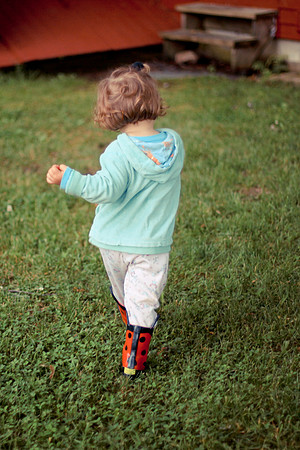373_DACHA-3_June 17, 2011
