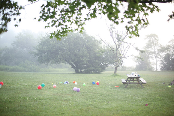 1224_DACHA-3_June 26, 2011