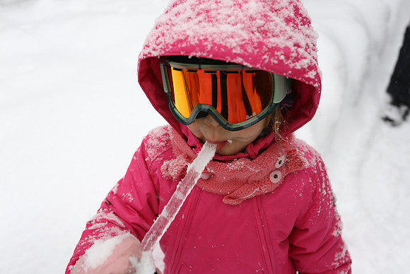 003_nezvayners_December 22, 2012