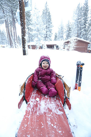 016_nezvayners_December 22, 2012