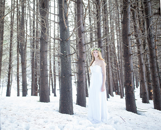 528_Brie-bridal-dress-session_January 18, 2016