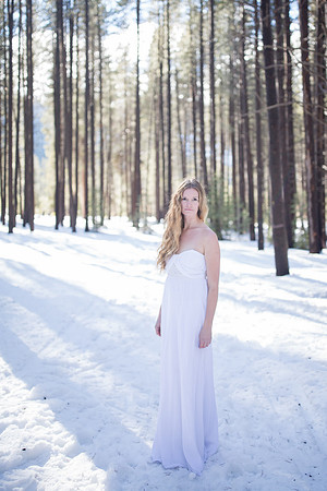 285_Brie-bridal-dress-session_January 18, 2016