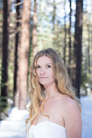 270_Brie-bridal-dress-session_January 18, 2016