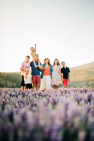 wildflowers family photo session
