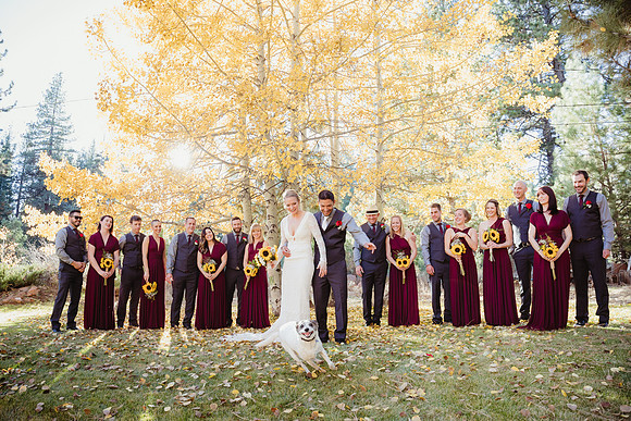 tahoe truckee wedding photography by polina vayner