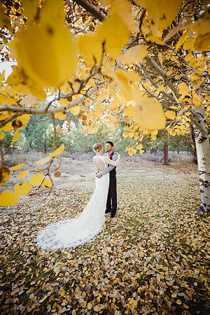 tahoe truckee wedding photography by polina vayner