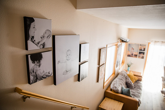laika studio photography location