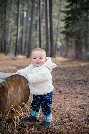 026_Sage1_November 17, 2014
