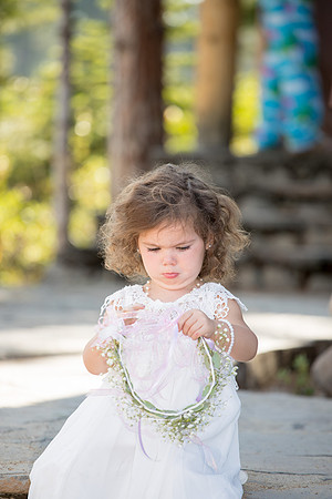 tahoe truckee outdoor wedding locations